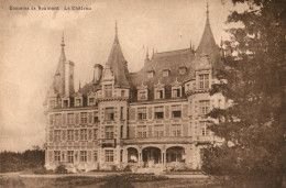 Domaine De Roumont  Le Château. - Libin