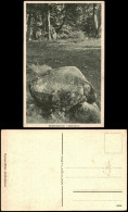 Ansichtskarte Stubbenkammer-Sassnitz Opfersteine 1928 - Sassnitz