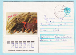 USSR 1990.0326. New Year Greetings. Prestamped Cover, Used - 1980-91