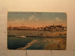 Cannes - Les Mouettes Et La Plage - Cannes