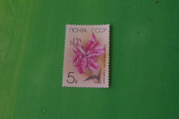 6-784 Flower Fleur Lis Du Japon Seciosum  Oriental Lilium Japon Chine Asie De L'est Russie - Andere & Zonder Classificatie