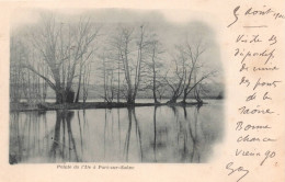 Pointe De L'ile à Port Sur Saône ( Carte Nuage Précurseur ) - Port-sur-Saône