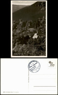 Ansichtskarte Neckarsteinach Umland-Ansicht 1940 - Other & Unclassified