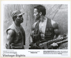 Arnold Schwarzenegger: Predator / Movie Still (Vintage Photo 1987) - Célébrités