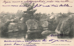 FRANCE - Fontainebleau Barbizon - Mare Aux Biches - Vue Générale - Carte Postale Ancienne - Fontainebleau