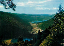 88 VALLEE  DES LACS  DE RETOURNEMER ET DE LONGEMER - Altri & Non Classificati