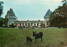 17 LOULAY CHÂTEAU DE MORNAY  - Andere & Zonder Classificatie