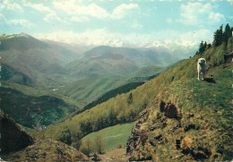 65 COL D'ASPIN - Autres & Non Classés