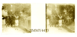 Une Grande Famille Dans Un Bois, à Identifier - Plaque De Verre En Stéréo Positif - Taille 44 X 107 Mlls - Glass Slides
