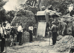 43 IL ÉTAIT UNE FOIS L'AUVERGNE ET LES CEVENNES REPRODUCTION  - Autres & Non Classés