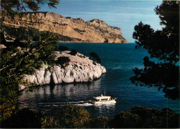 13 CASSIS SUR MER  - Cassis