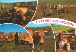 12 LA TRAITE SUR L'AUBRAC - Autres & Non Classés