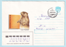 USSR 1990.0406. Marmot (Marmota Menzbieri). Prestamped Cover, Used - 1980-91