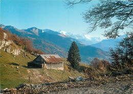 74 VUE DU MASSIF DE HIRMENTAZ - Other & Unclassified