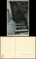 Ansichtskarte .Sachsen Sächsische Schweiz Wolfsschlucht 1920 - Sonstige & Ohne Zuordnung