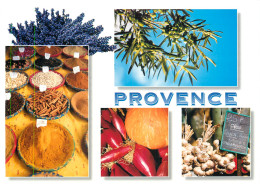 SENTEURS DE PROVENCE  - Provence-Alpes-Côte D'Azur