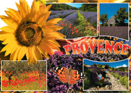 PROVENCE MULTIVUES LAVANDES  - Provence-Alpes-Côte D'Azur
