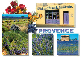 PROVENCE CHAMP DE LAVANDES  - Provence-Alpes-Côte D'Azur