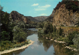 4 LES GORGES DE L'ALLIER - Other & Unclassified