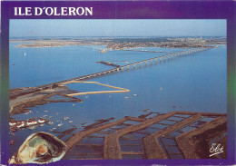 17 ILE D'OLERON - Ile D'Oléron