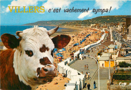 14 VILLERS SUR MER - Villers Sur Mer