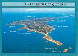 56 PRESQU'ILE DE QUIBERON  - Quiberon