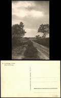 Ansichtskarte .Niedersachsen Abendstimmung, Lüneburger Heide 1935 - Lüneburger Heide