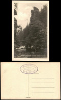 Postcard Tetschen-Bodenbach Decín Wilde Klamm Und Dreifussfelsen 1927 - Tchéquie