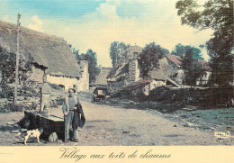 VILLAGE AUX TOITS DE CHAUME - Fermes