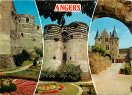 49 ANGERS  - Angers
