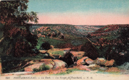 FRANCE - Fontainebleau - Le Forêt - Les Gorges De Franchard - N G - Colorisé - Carte Postale Ancienne - Fontainebleau