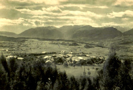 MALOSCO (  Val Di Non )   PANORAMA  DELLA VALLE - 1949 - Trento