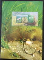 2024 Sweden Suede Europa Leaflet Brochure Underwater Fauna Flora Fishes Bloc Minisheet - 2024
