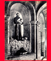 ITALIA - UMBRIA - Assisi (Perugia) - Santuario Di S. M. Degli Angeli - S. Francesco E Le  - Cartolina Viaggiata Nel 1961 - Sonstige & Ohne Zuordnung