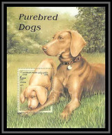 Postes Afghanes (Afghanistan) - 3218/ N° 181 Chiens Pure Race (chien Purebred Dog Dogs) ** MNH  - Afghanistan