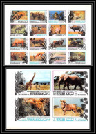 Manama - 3465d/ N°514/533 B Protection Of Animals 1971 Neuf ** MNH Elephant Lion Rhinoceros Crocodile Non Dentelé Imperf - Giraffe