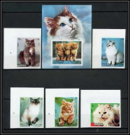 Sharjah - 2050b/ N° 1030/1034 B Bloc N° 120 Angora Siamese Siamois Persian Cat Chats Cats Non Dentelé Imperf ** MNH  - Sharjah