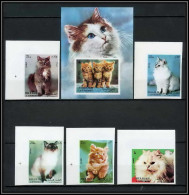 Sharjah - 2050b/ N° 1030/1034 B Bloc N° 120 Angora Siamese Siamois Persian Cat Chats Cats Non Dentelé Imperf ** MNH  - Hauskatzen