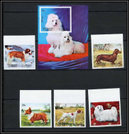 Sharjah - 2046a N° 1024/1028 B Bloc N° 119 Poodle Caniche Pointer St Bernard Chiens Dogs ** MNH Non Dentelé Imperf - Sharjah