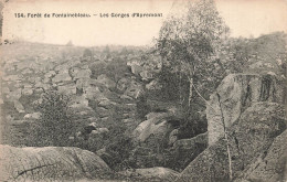 FRANCE - Forêt De Fontainebleau - Vue Sur Les Gorges D'Apremont - Carte Postale Ancienne - Fontainebleau