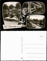 Ansichtskarte Braunlage 3 Bild Brücke, Restaurant, Schwäne 1961 - Braunlage