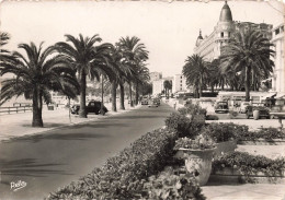 FRANCE - Cannes - Le Boulevard De La Croisette - Carte Postale - Cannes