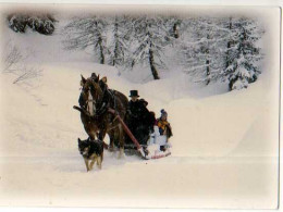 D GIVOIS Collection Poudreuse La Montagne En Hiver, Traineau Tire Par Cheval, Chien - Autres & Non Classés