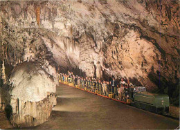 Spéléologie - Slovénie - Slovenia - Postojnska Jama - Grotte - Potholing - Cave - CPM - Carte Neuve - Voir Scans Recto-V - Other & Unclassified