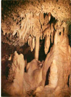 Spéléologie - Grottes De Fontirou - Une Cheminée Naturelle - Potholing - Cave - CPM - Carte Neuve - Voir Scans Recto-Ver - Other & Unclassified