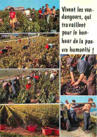 Vignes - Le Temps Des Vendanges - Multivues - Vendanges - Raisins - Vin - CPM - Voir Scans Recto-Verso - Weinberge