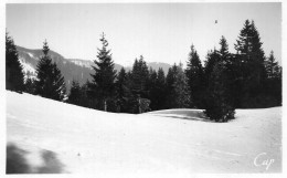 (68) LE TANET Champ De Ski  Neige ( Haut Rhin ) - Autres & Non Classés