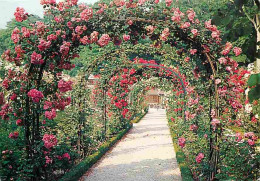 94 - L'Hay Les Roses - La Roseraie - Les Arceaux - Fleurs - CPM - Voir Scans Recto-Verso - L'Hay Les Roses