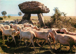 Animaux - Moutons - Pérennité De La Pastorale Du Roquefort Depuis Les Temps Druidiques - CPM - Voir Scans Recto-Verso - Autres & Non Classés