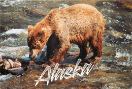 Animaux - Ours - Ours Brun - Alaska - Peche Au Saumon - Bear - CPM - Voir Scans Recto-Verso - Ours
